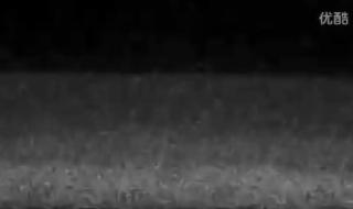 wwe送葬者出场音乐 wwe送葬者出场音乐