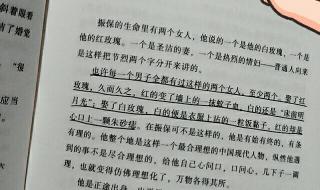 张爱玲朱砂痣那段话